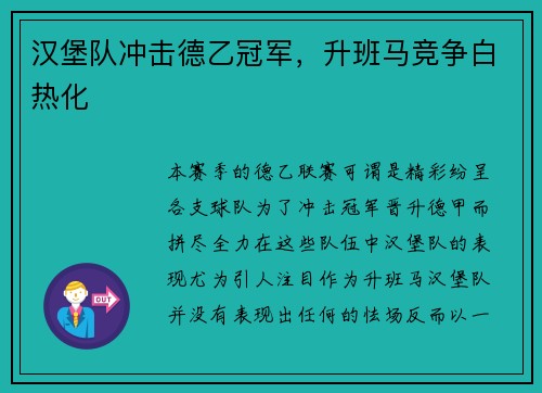 汉堡队冲击德乙冠军，升班马竞争白热化